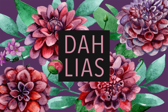 Watercolor Dahlias Design Inspiration
